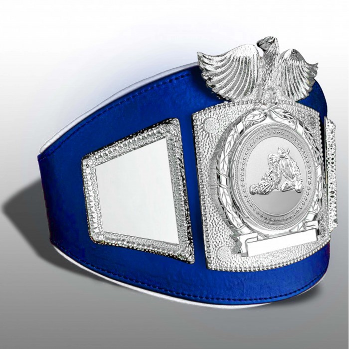 PROEAGLE JIU JITSU CHAMPIONSHIP BELT - PROEAGLE/S/JJS - AVAILABLE IN 6+ COLOURS